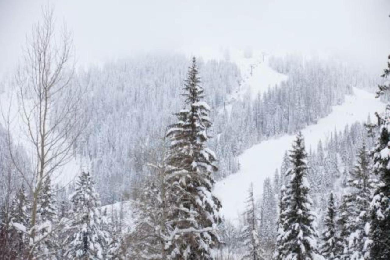 Apartmán Wooded Dreams Whitefish Exteriér fotografie